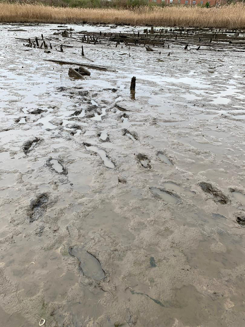 Footprints in Nansemond River mud